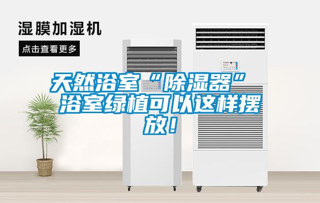 天然浴室“除濕器” 浴室綠植可以這樣擺放！