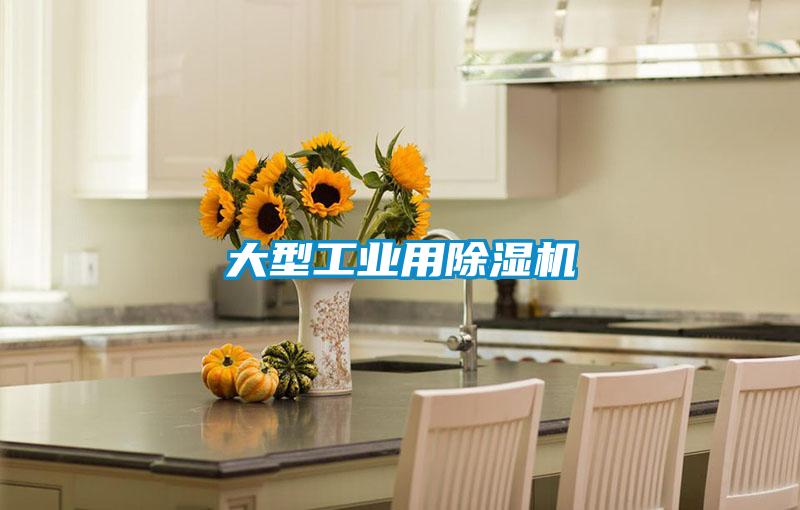 大型工業(yè)用除濕機(jī)
