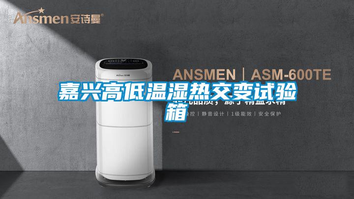嘉興高低溫濕熱交變試驗箱