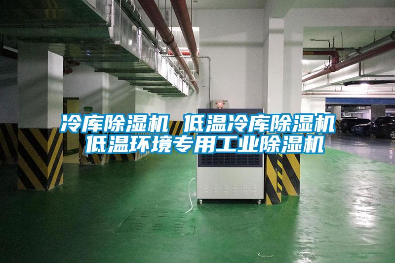 冷庫(kù)除濕機(jī) 低溫冷庫(kù)除濕機(jī) 低溫環(huán)境專(zhuān)用工業(yè)除濕機(jī)