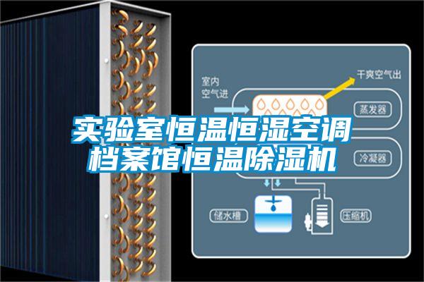 實驗室恒溫恒濕空調(diào)檔案館恒溫除濕機(jī)