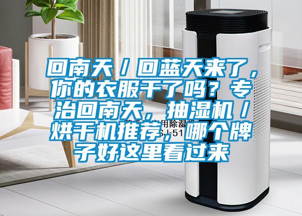 回南天／回藍(lán)天來了，你的衣服干了嗎？專治回南天，抽濕機(jī)／烘干機(jī)推薦，哪個牌子好這里看過來