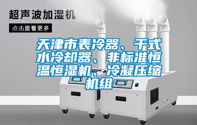 天津市表冷器、干式水冷卻器、非標(biāo)準(zhǔn)恒溫恒濕機、冷凝壓縮機組