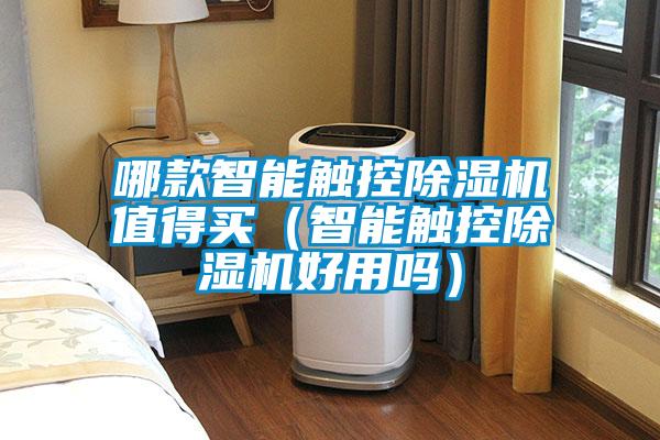 哪款智能觸控除濕機(jī)值得買（智能觸控除濕機(jī)好用嗎）
