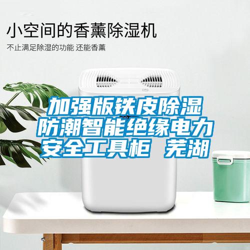 加強(qiáng)版鐵皮除濕防潮智能絕緣電力安全工具柜 蕪湖