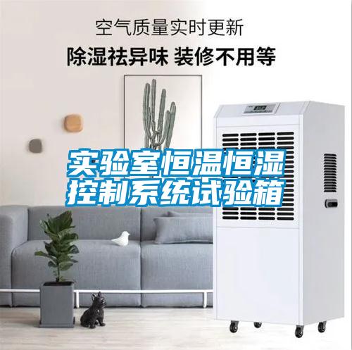 實驗室恒溫恒濕控制系統(tǒng)試驗箱