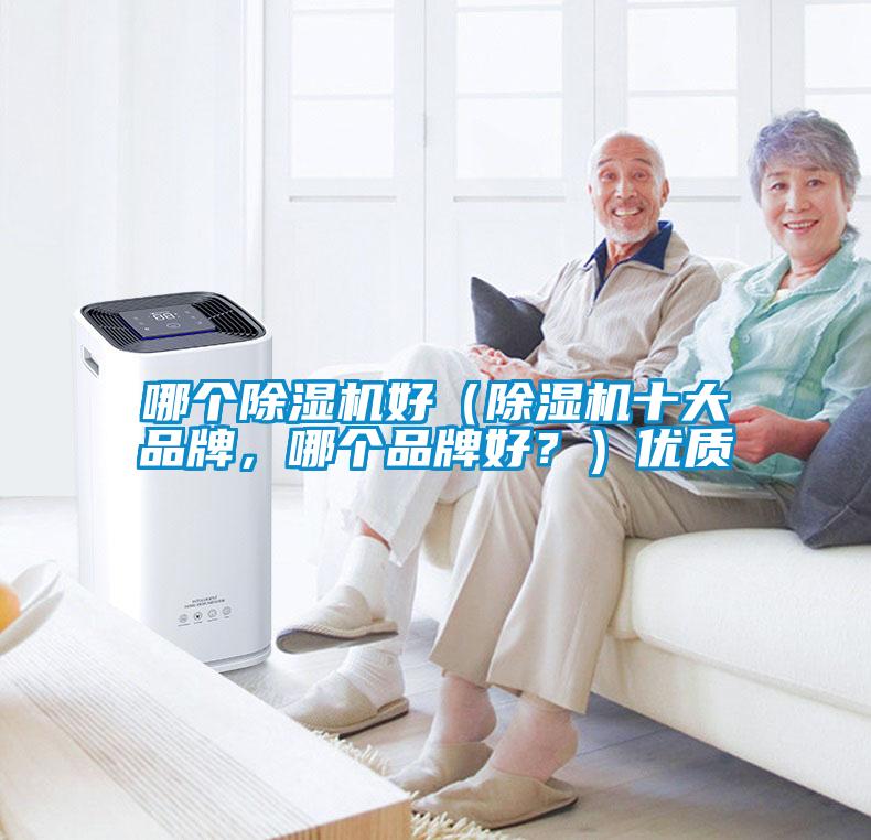 哪個除濕機好（除濕機十大品牌，哪個品牌好？）優(yōu)質