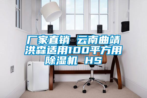 廠家直銷 云南曲靖洪森適用100平方用除濕機(jī) HS