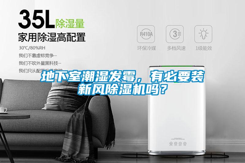 地下室潮濕發(fā)霉，有必要裝新風(fēng)除濕機嗎？