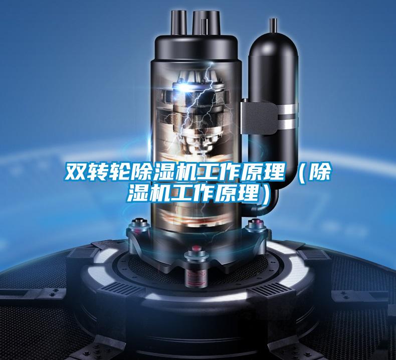 雙轉(zhuǎn)輪除濕機工作原理（除濕機工作原理）