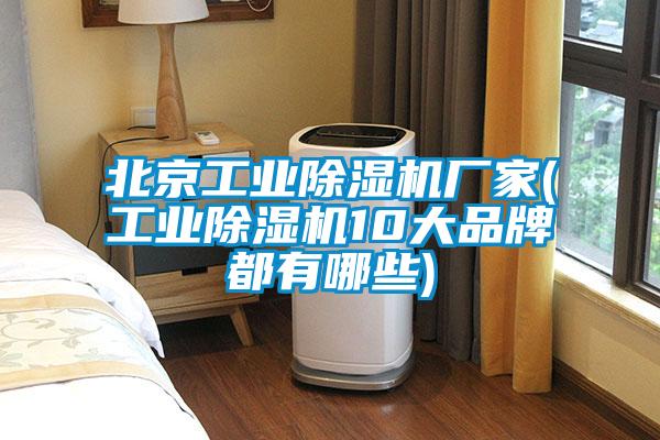 北京工業(yè)除濕機廠家(工業(yè)除濕機10大品牌都有哪些)