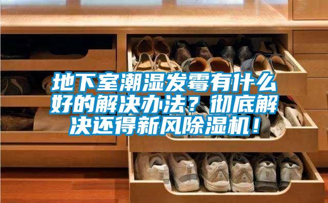 地下室潮濕發(fā)霉有什么好的解決辦法？徹底解決還得新風(fēng)除濕機！