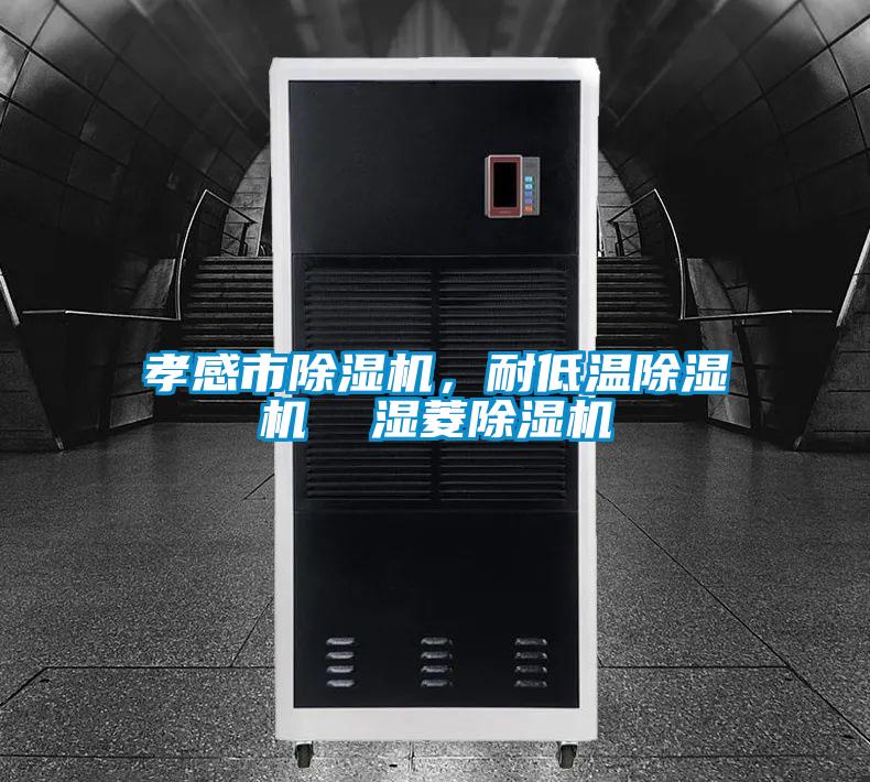 孝感市除濕機(jī)，耐低溫除濕機(jī)  濕菱除濕機(jī)