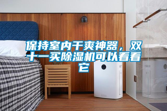 保持室內(nèi)干爽神器，雙十一買除濕機(jī)可以看看它