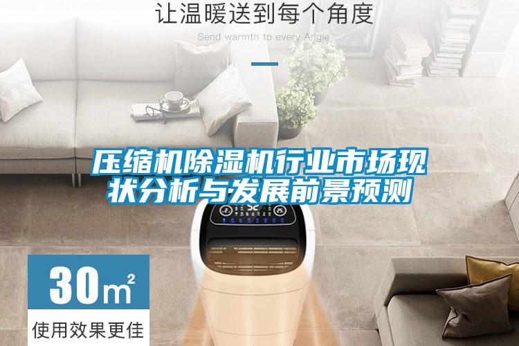壓縮機(jī)除濕機(jī)行業(yè)市場(chǎng)現(xiàn)狀分析與發(fā)展前景預(yù)測(cè)