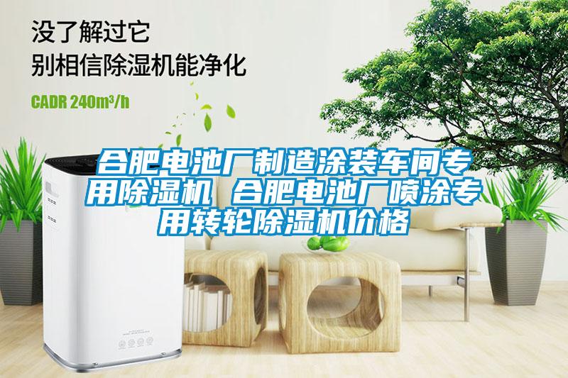 合肥電池廠制造涂裝車間專用除濕機 合肥電池廠噴涂專用轉(zhuǎn)輪除濕機價格