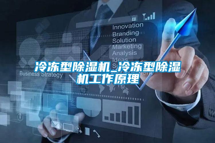 冷凍型除濕機(jī)_冷凍型除濕機(jī)工作原理