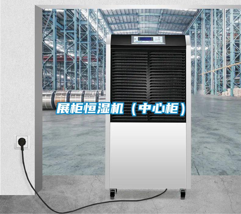 展柜恒濕機(jī)（中心柜）