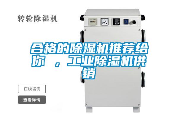 合格的除濕機(jī)推薦給你 ，工業(yè)除濕機(jī)供銷