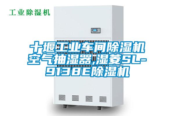 十堰工業(yè)車間除濕機(jī)空氣抽濕器,濕菱SL-9138E除濕機(jī)
