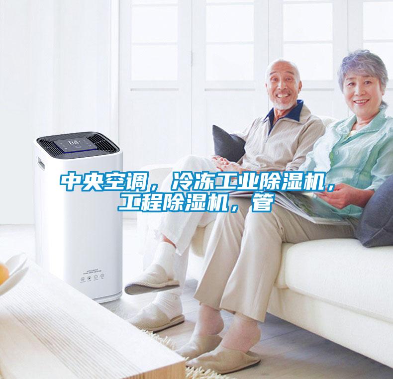 中央空調，冷凍工業(yè)除濕機，工程除濕機，管