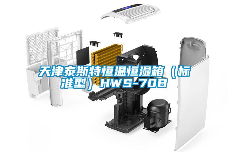 天津泰斯特恒溫恒濕箱（標(biāo)準型）HWS-70B
