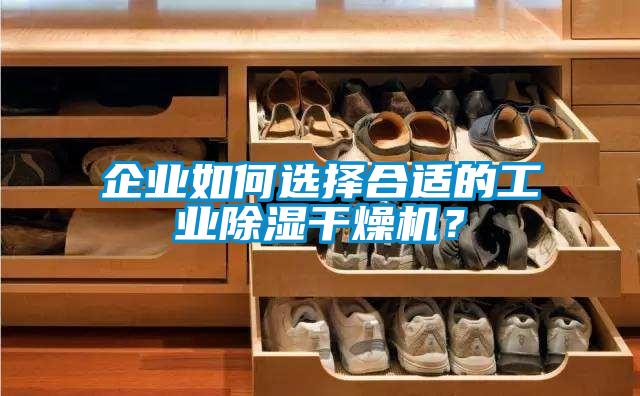 企業(yè)如何選擇合適的工業(yè)除濕干燥機(jī)？