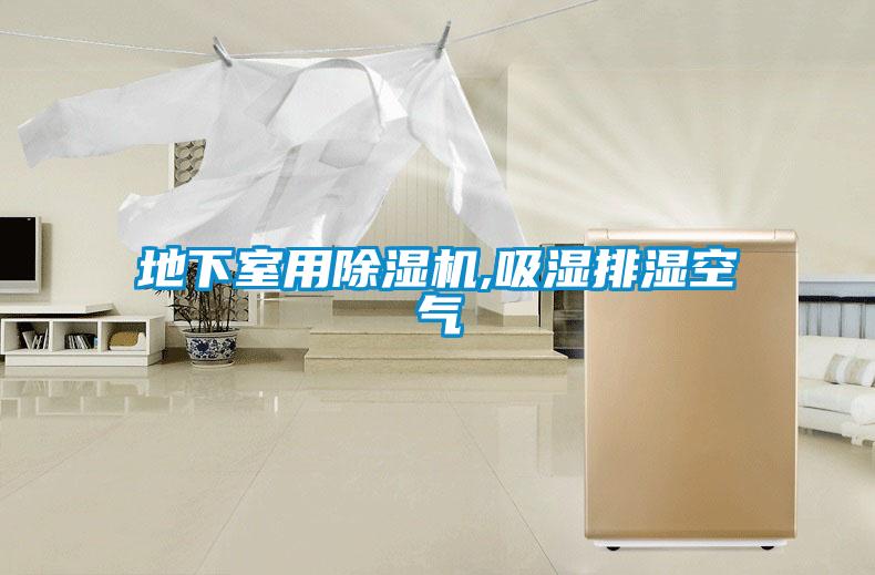 地下室用除濕機,吸濕排濕空氣