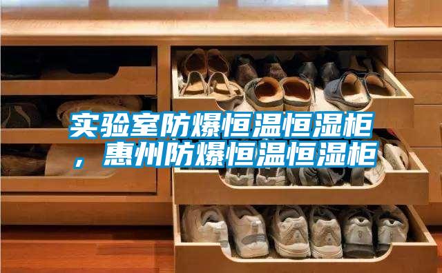 實(shí)驗(yàn)室防爆恒溫恒濕柜，惠州防爆恒溫恒濕柜