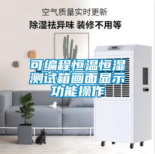 可編程恒溫恒濕測試箱畫面顯示功能操作