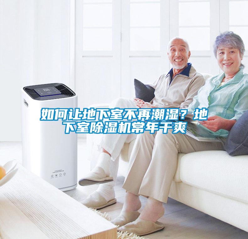 如何讓地下室不再潮濕？地下室除濕機常年干爽