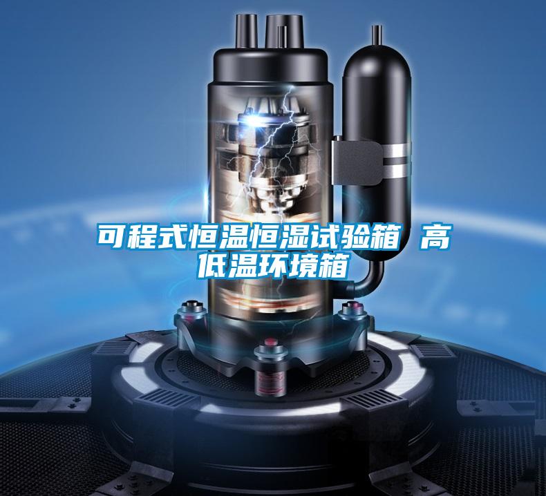 可程式恒溫恒濕試驗箱 高低溫環(huán)境箱
