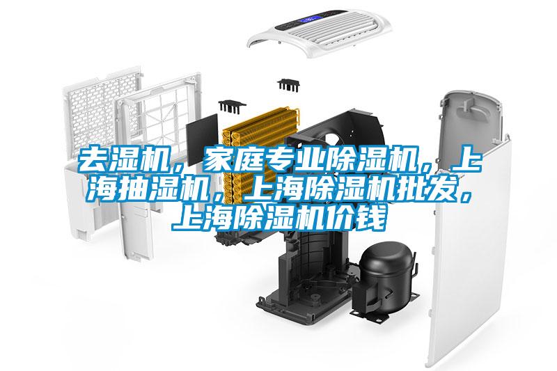 去濕機(jī)，家庭專業(yè)除濕機(jī)，上海抽濕機(jī)，上海除濕機(jī)批發(fā)，上海除濕機(jī)價(jià)錢