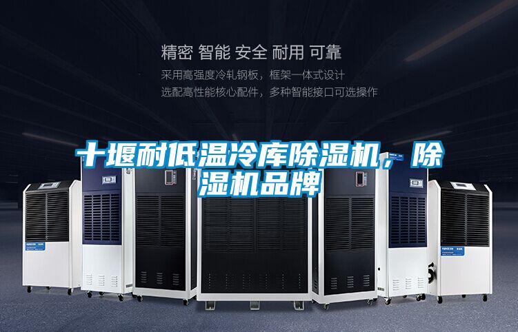 十堰耐低溫冷庫除濕機(jī)，除濕機(jī)品牌