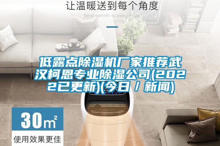 低露點除濕機廠家推薦武漢柯恩專業(yè)除濕公司(2022已更新)(今日／新聞)