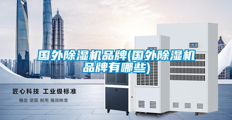 國外除濕機(jī)品牌(國外除濕機(jī)品牌有哪些)