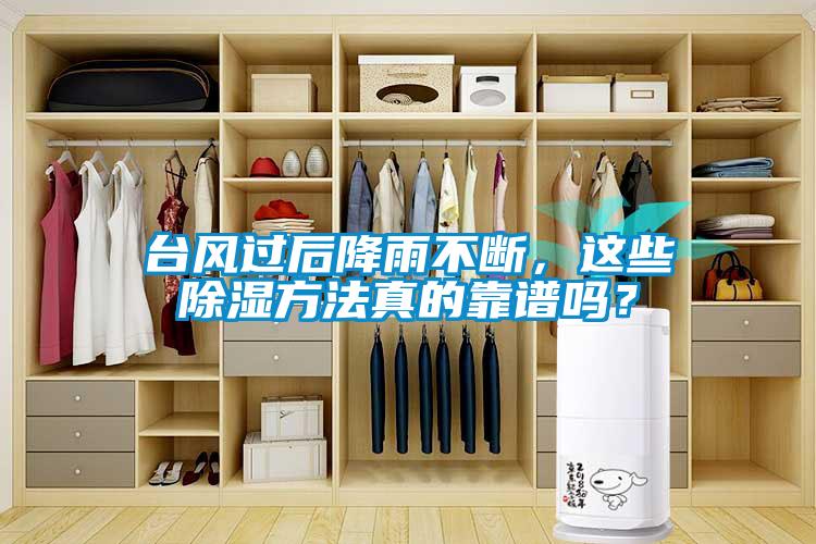 臺風(fēng)過后降雨不斷，這些除濕方法真的靠譜嗎？
