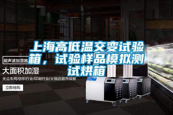 上海高低溫交變試驗(yàn)箱，試驗(yàn)樣品模擬測試烘箱