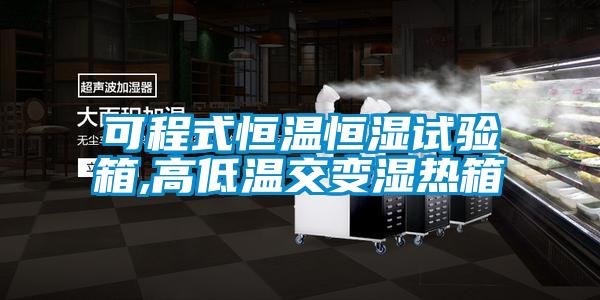 可程式恒溫恒濕試驗箱,高低溫交變濕熱箱