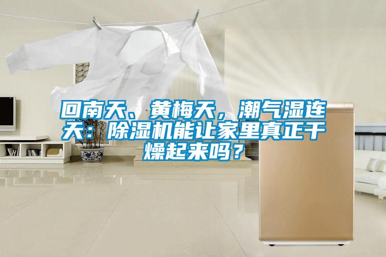 回南天、黃梅天，潮氣濕連天：除濕機(jī)能讓家里真正干燥起來嗎？
