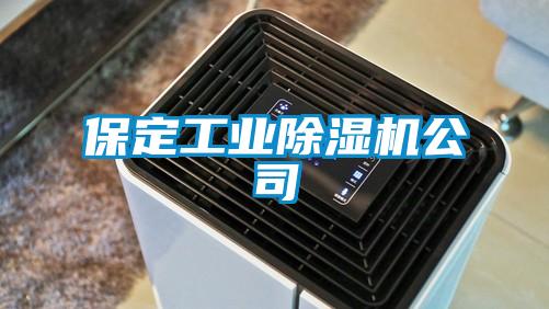 保定工業(yè)除濕機公司
