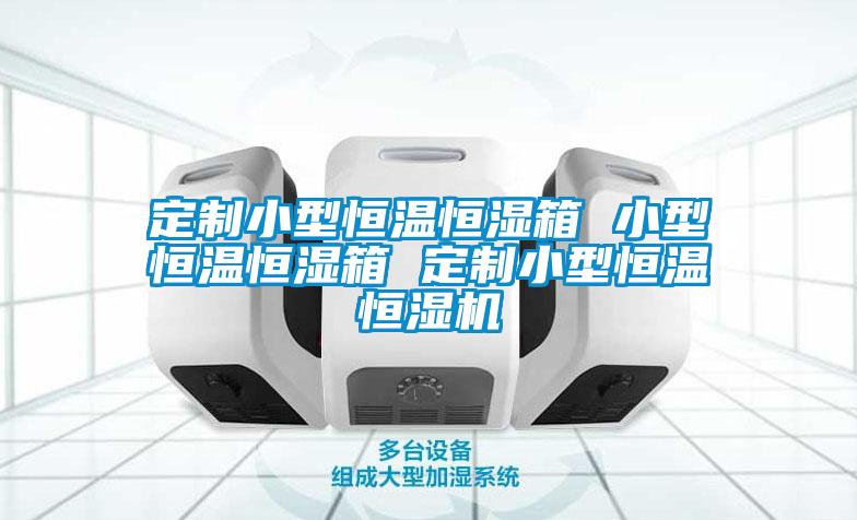定制小型恒溫恒濕箱 小型恒溫恒濕箱 定制小型恒溫恒濕機(jī)