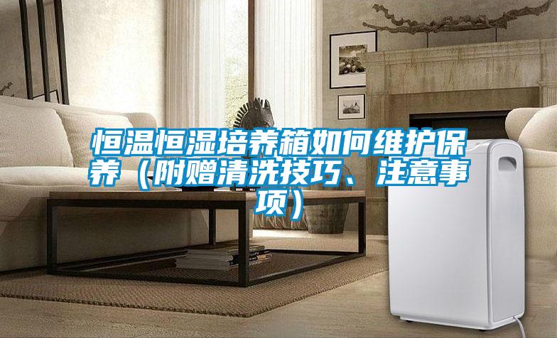 恒溫恒濕培養(yǎng)箱如何維護保養(yǎng)（附贈清洗技巧、注意事項）