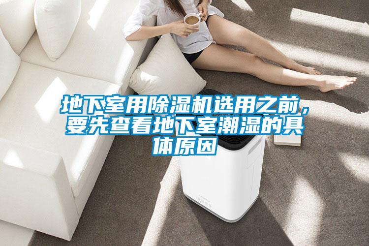 地下室用除濕機選用之前，要先查看地下室潮濕的具體原因