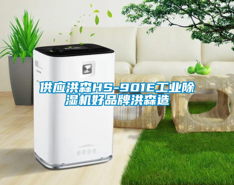 供應洪森HS-901E工業(yè)除濕機好品牌洪森造