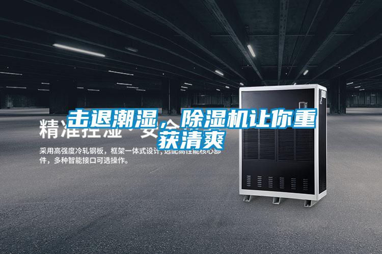 擊退潮濕，除濕機(jī)讓你重獲清爽