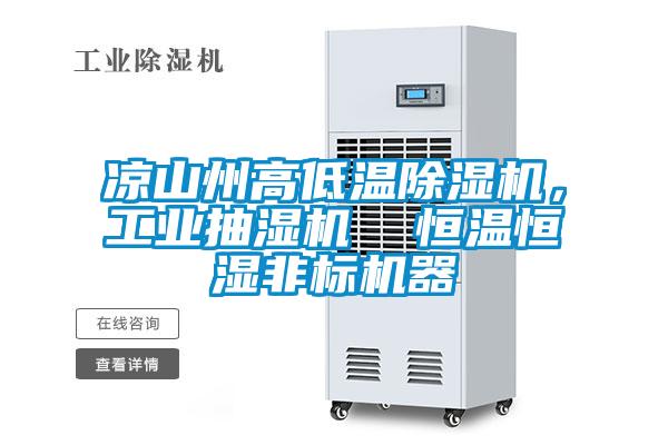 涼山州高低溫除濕機，工業(yè)抽濕機  恒溫恒濕非標機器