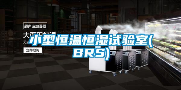 小型恒溫恒濕試驗(yàn)室(BRS)
