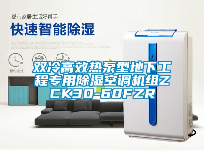 雙冷高效熱泵型地下工程專用除濕空調(diào)機(jī)組ZCK30-60FZR