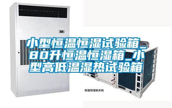 小型恒溫恒濕試驗(yàn)箱_80升恒溫恒濕箱_小型高低溫濕熱試驗(yàn)箱